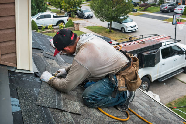 Professional Flat Roof Repair technician working in Borup, MN